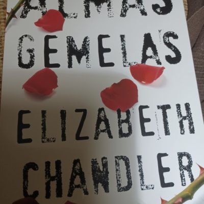 Barybook C14 Almas gemelas Elizabeth Chandler planeta  Estado del lote: Muy Bueno (nuevo o como nuevo, sin señales de uso)