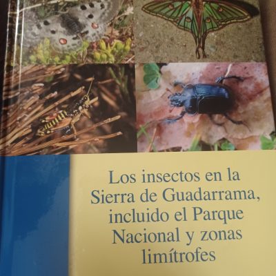 Los insectos en la Sierra de Guadarrama Sellos – Temáticas – Fauna  ISBN:9788480148610 Estado del lote: Normal (con señales de uso normal)